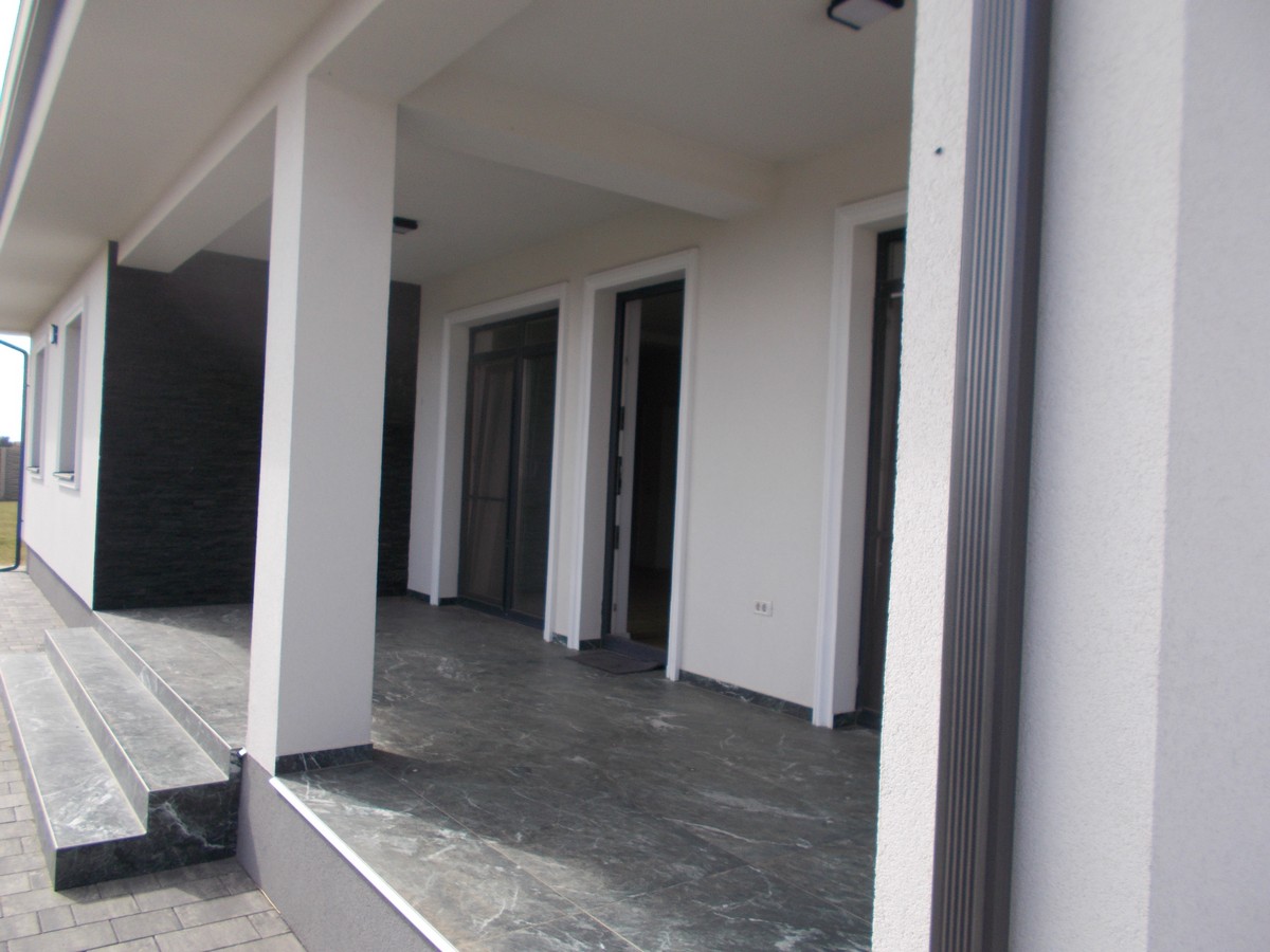 imobiliare timisoara