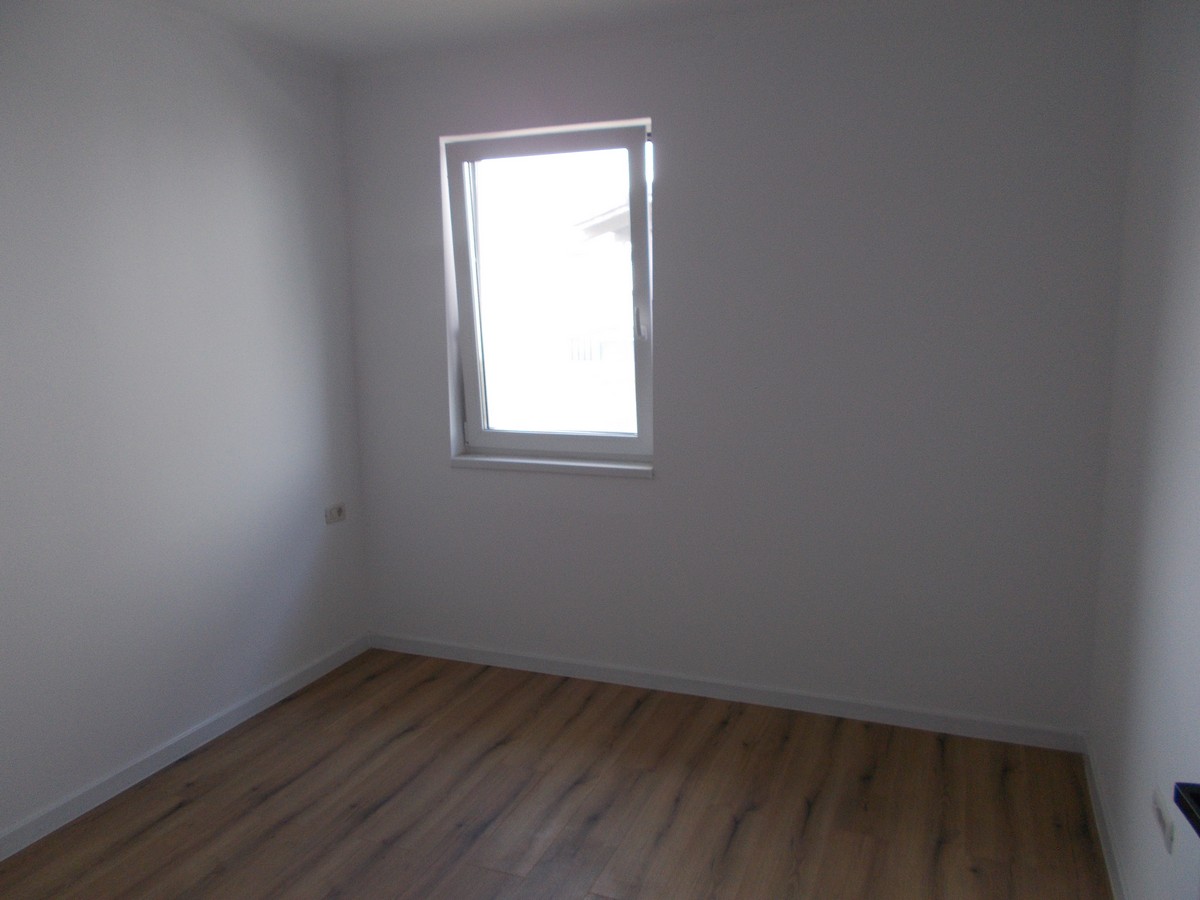 imobiliare timisoara
