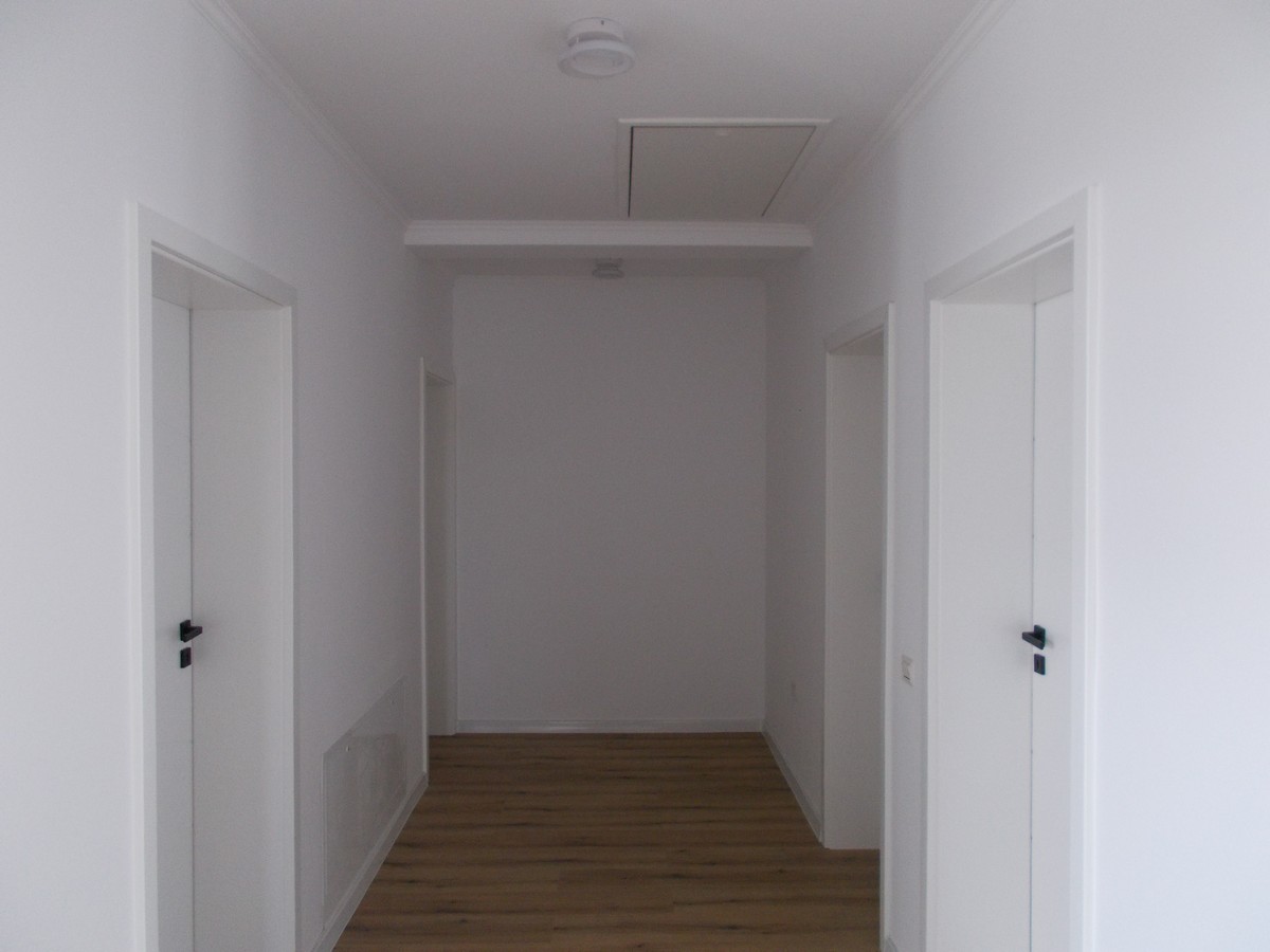 imobiliare timisoara
