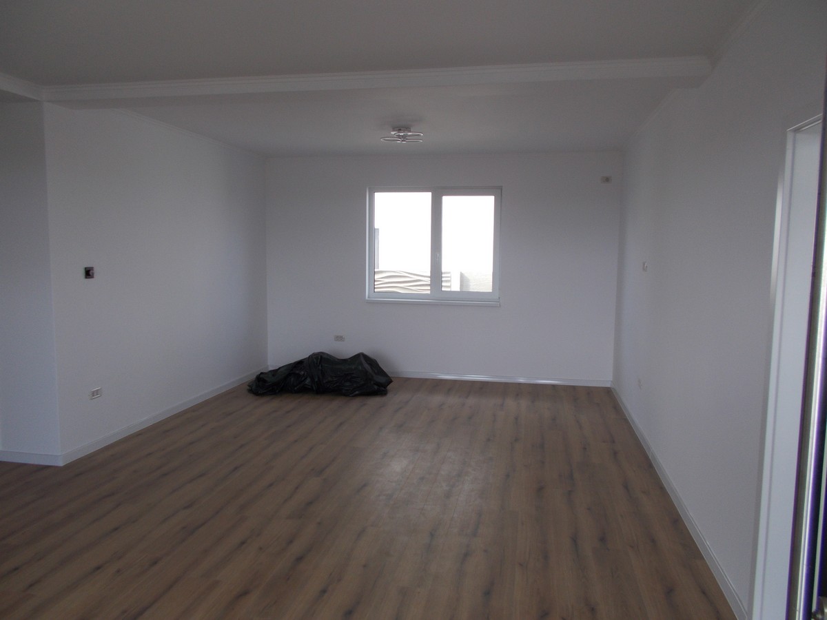 imobiliare timisoara