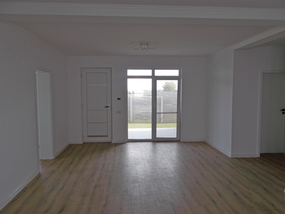imobiliare timisoara