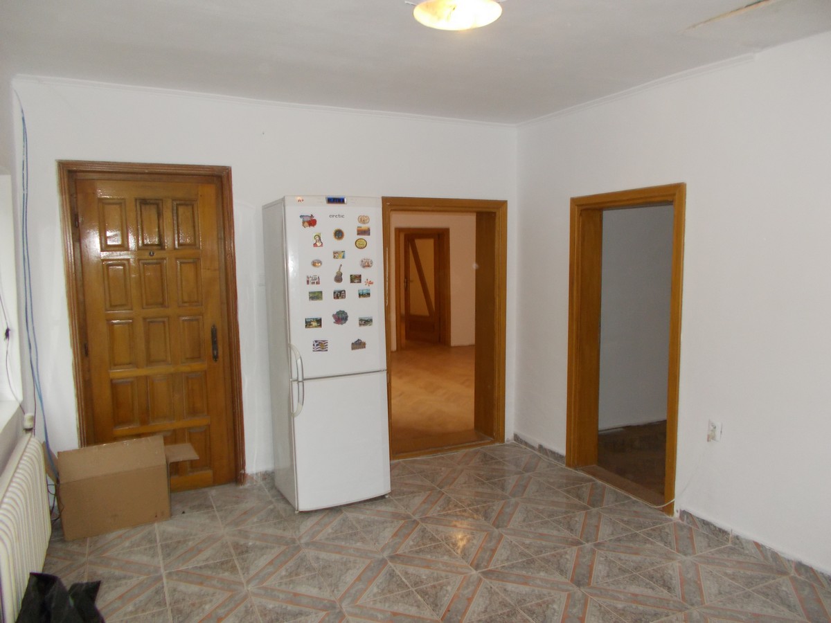 imobiliare timisoara