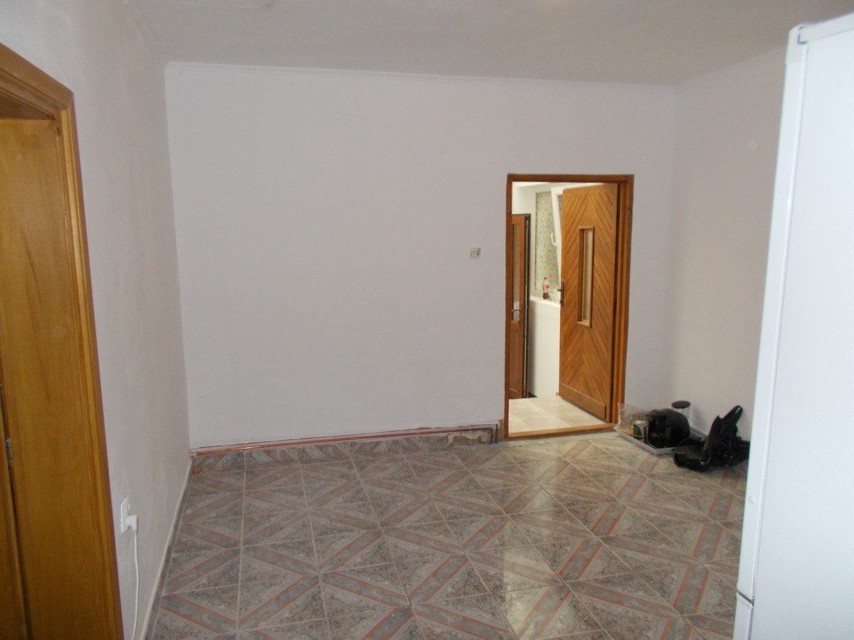 imobiliare timisoara
