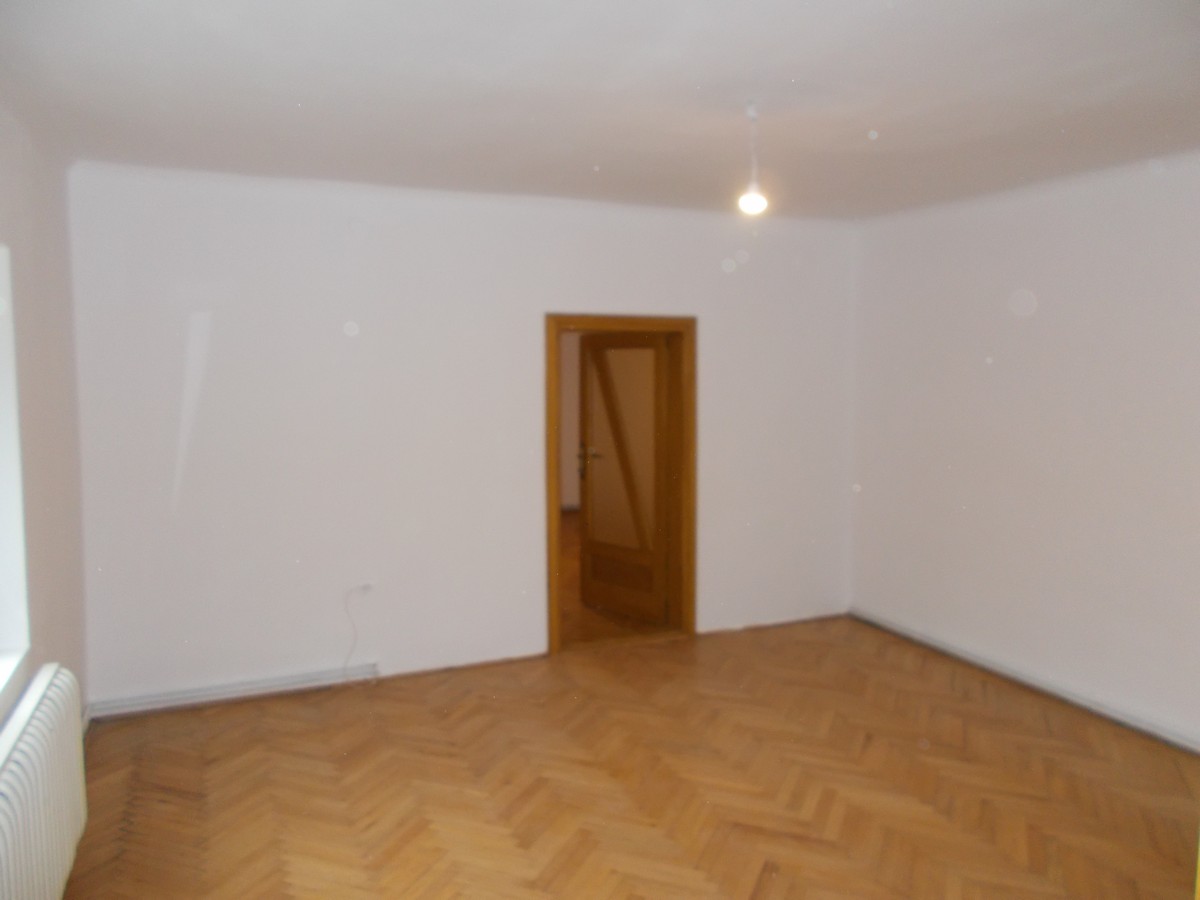 imobiliare timisoara