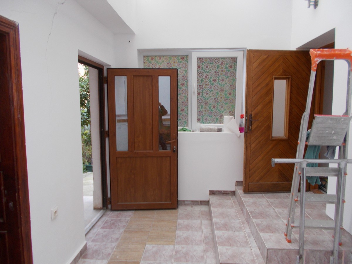 imobiliare timisoara