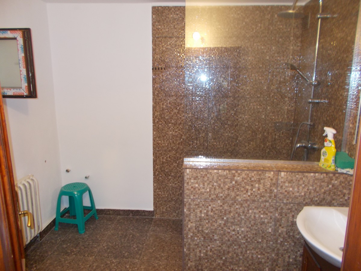 imobiliare timisoara