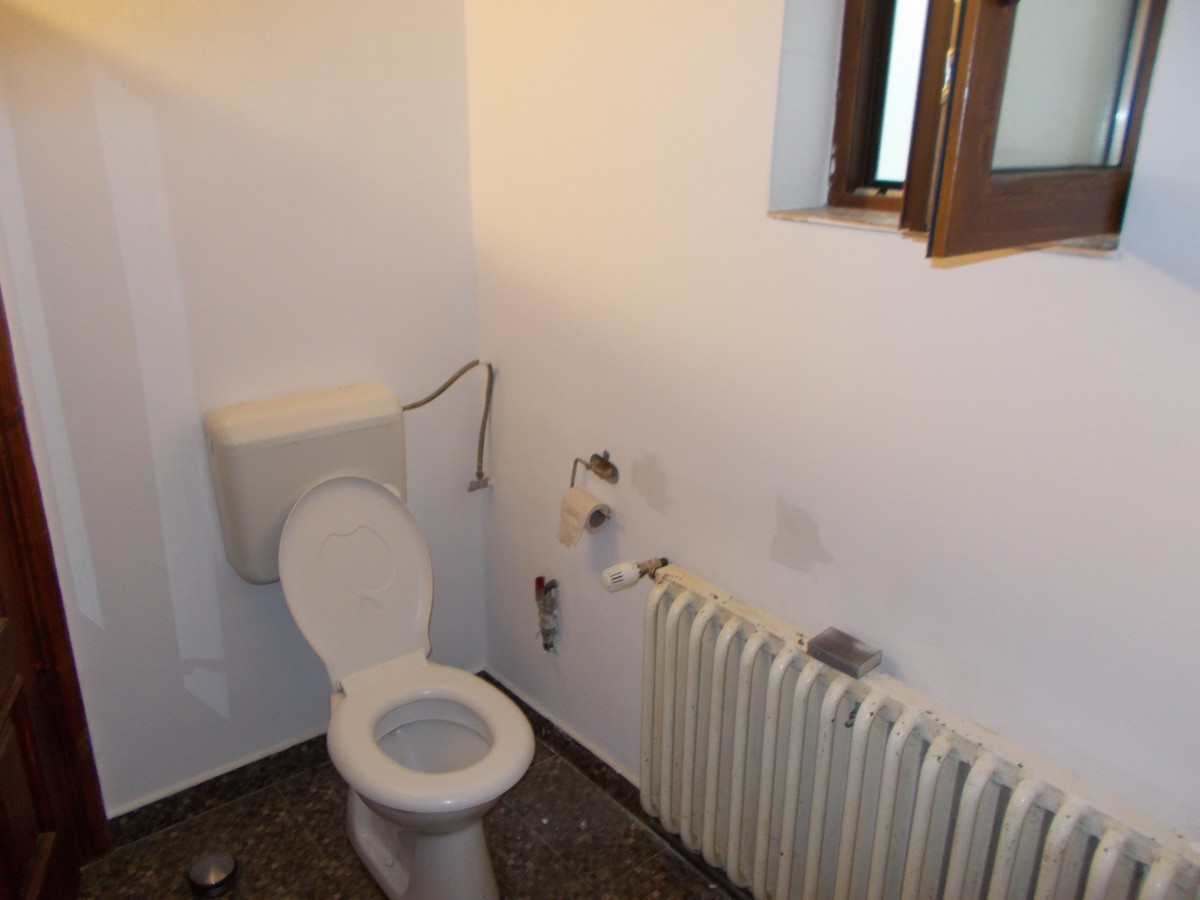 imobiliare timisoara