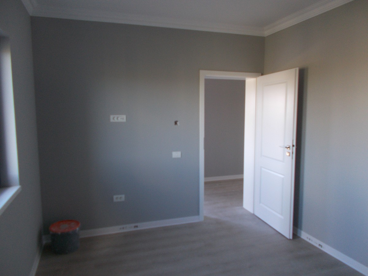 imobiliare timisoara