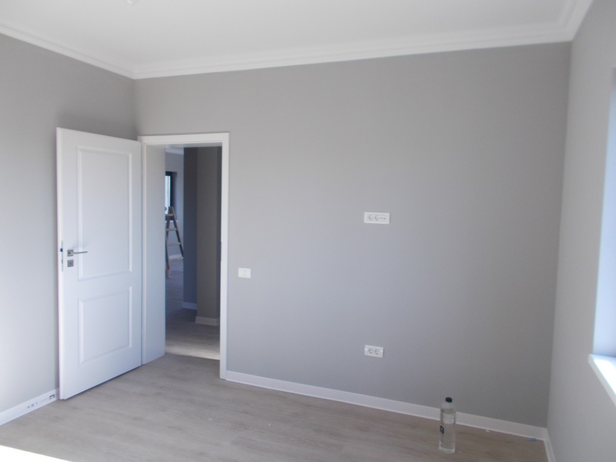 imobiliare timisoara