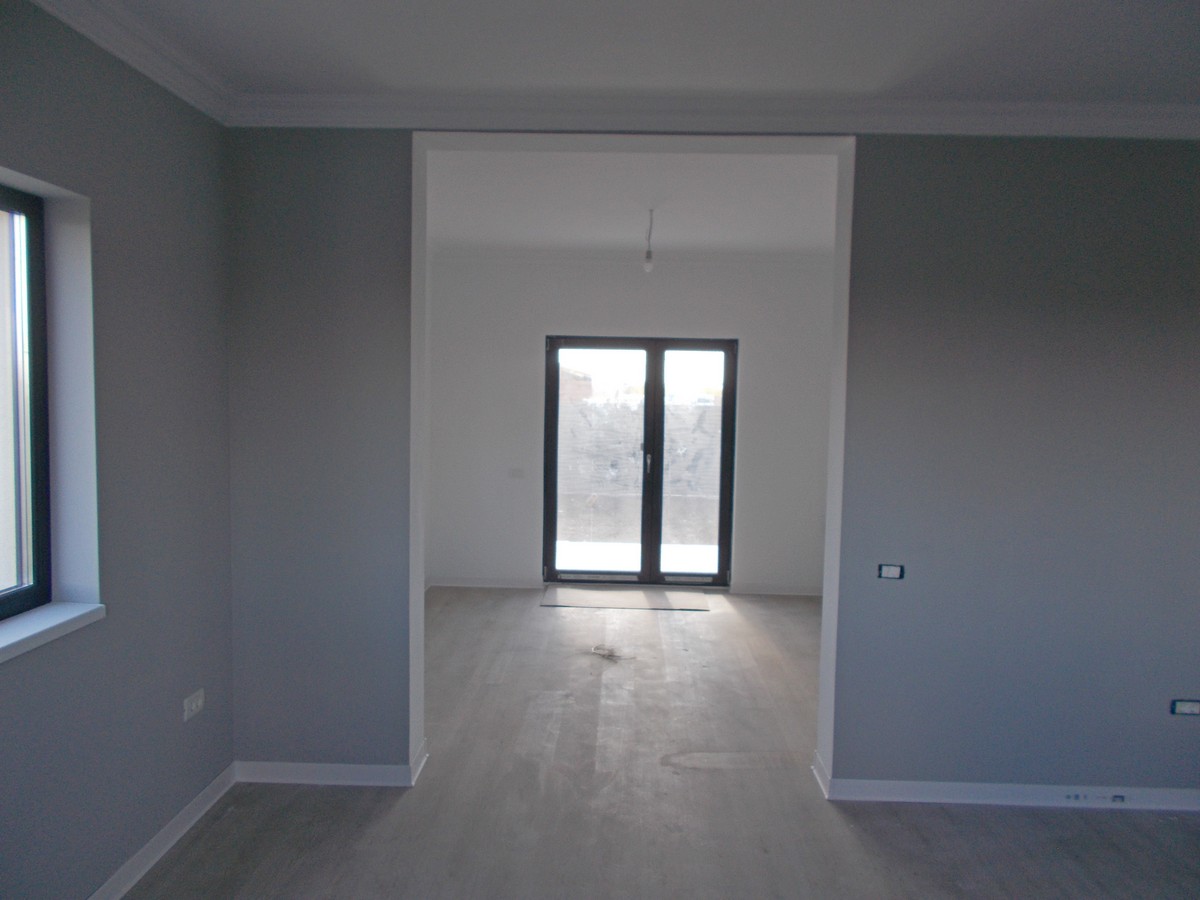 imobiliare timisoara