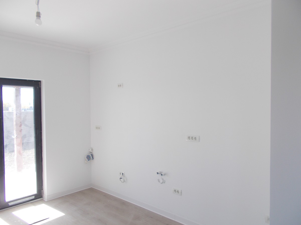 imobiliare timisoara