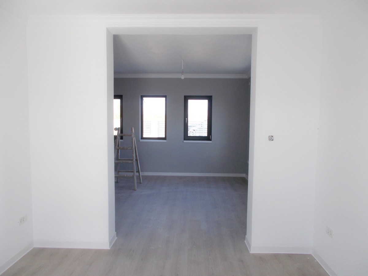 imobiliare timisoara