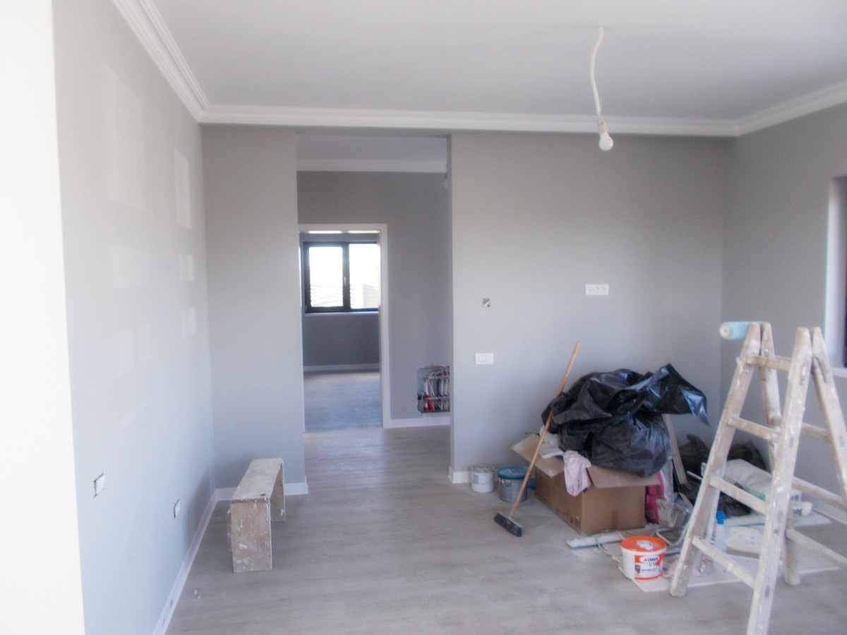 imobiliare timisoara