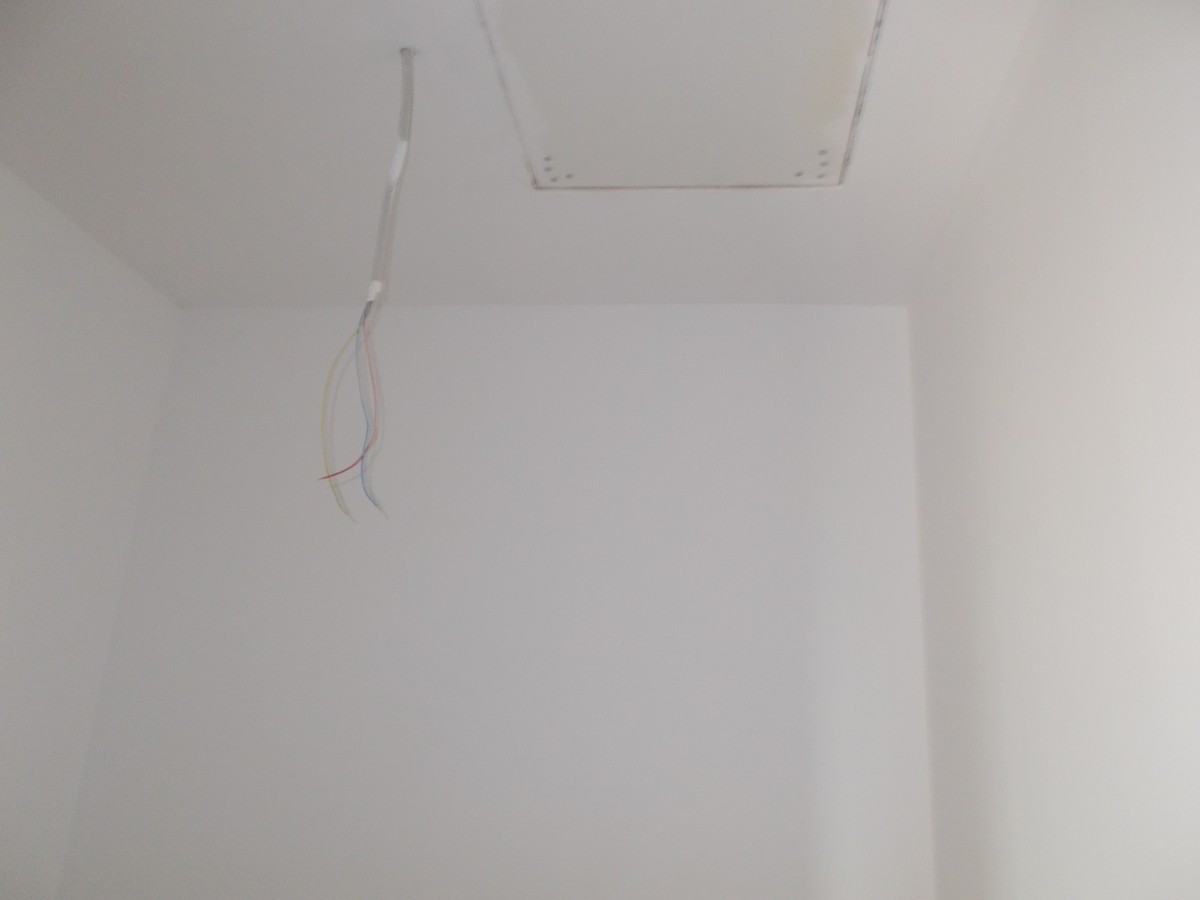 imobiliare timisoara