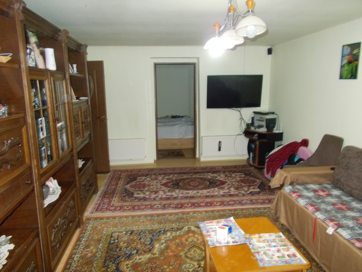 imobiliare timisoara