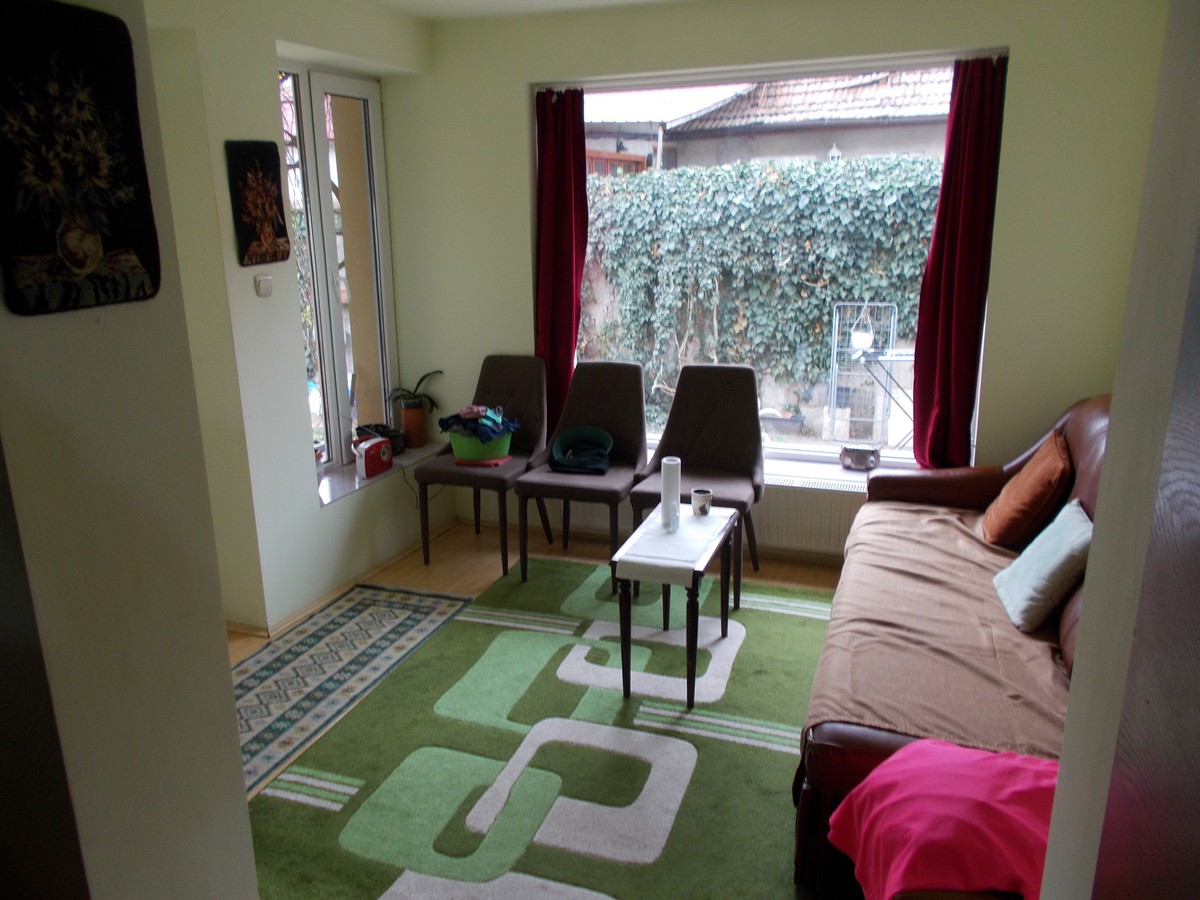 imobiliare timisoara