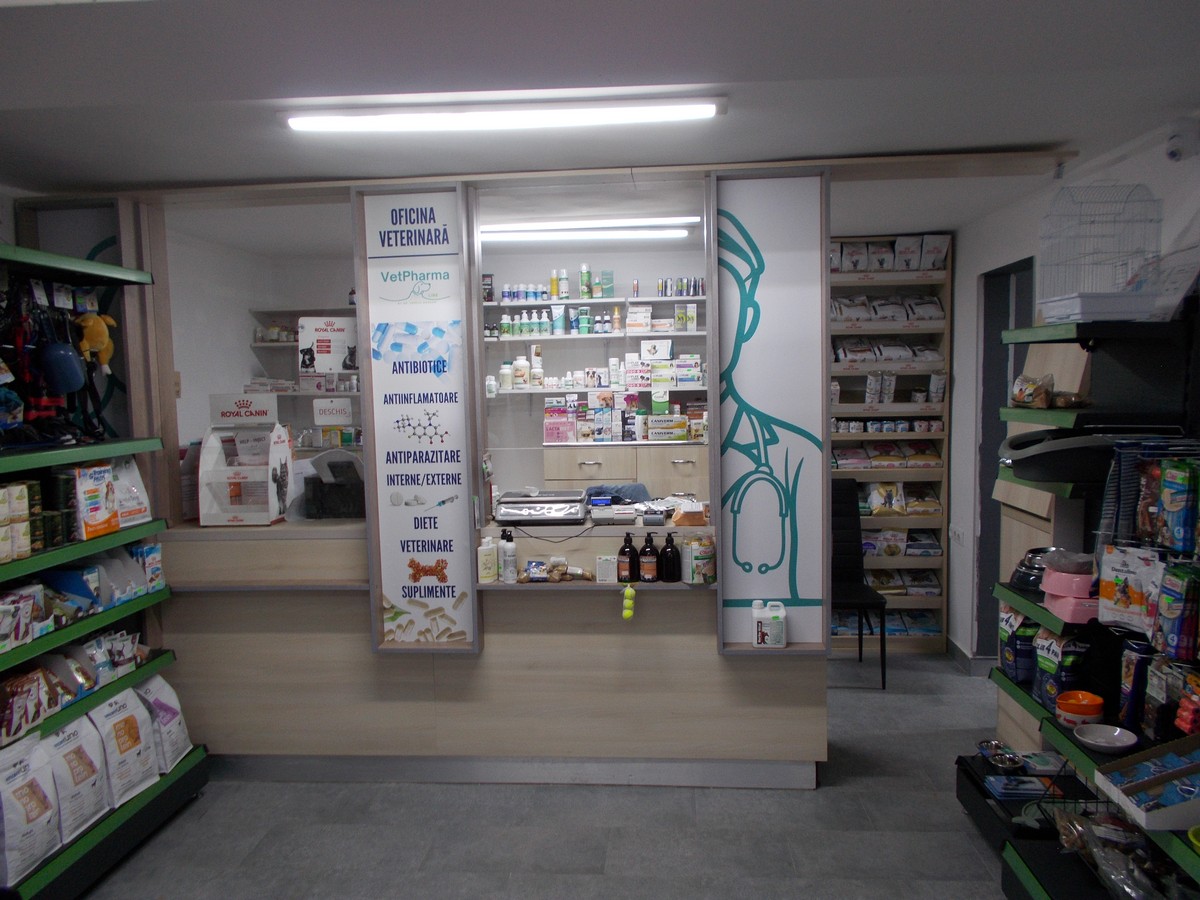 imobiliare timisoara