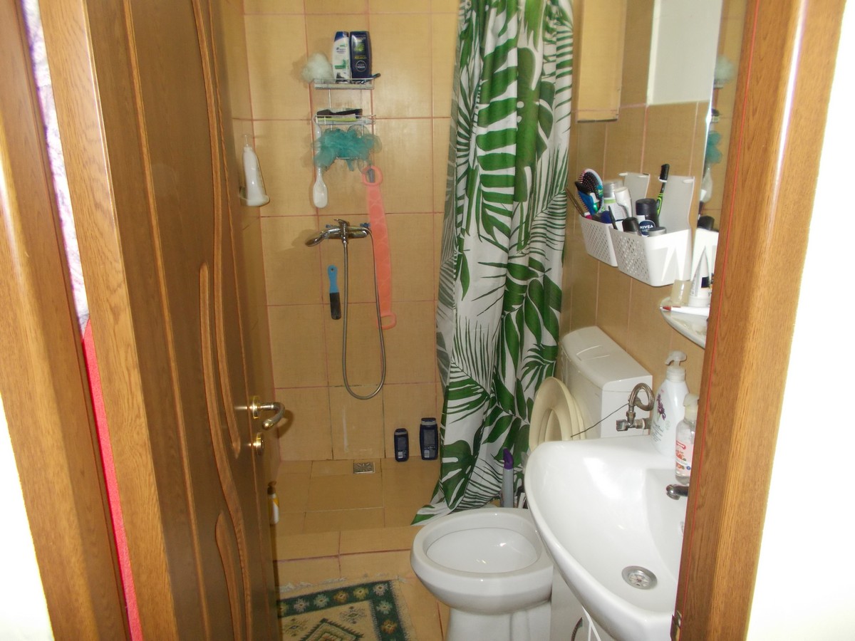 imobiliare timisoara
