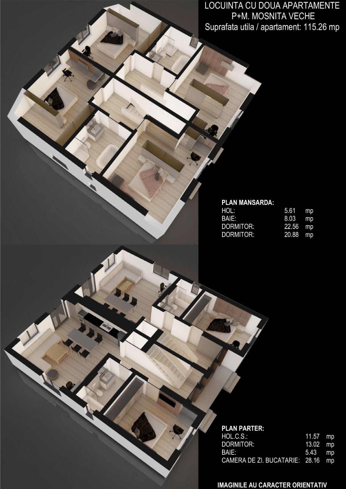 imobiliare timisoara