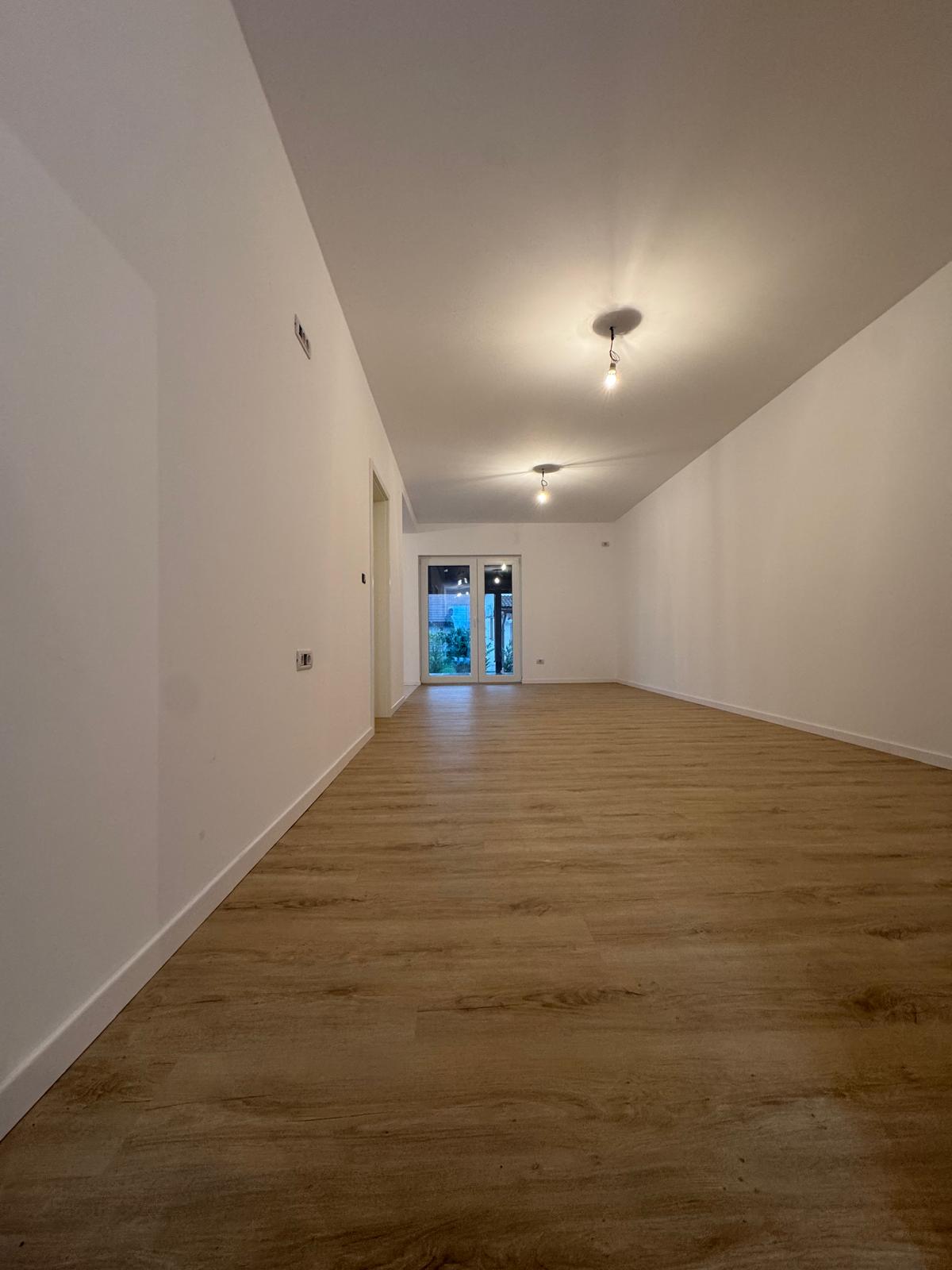 imobiliare timisoara