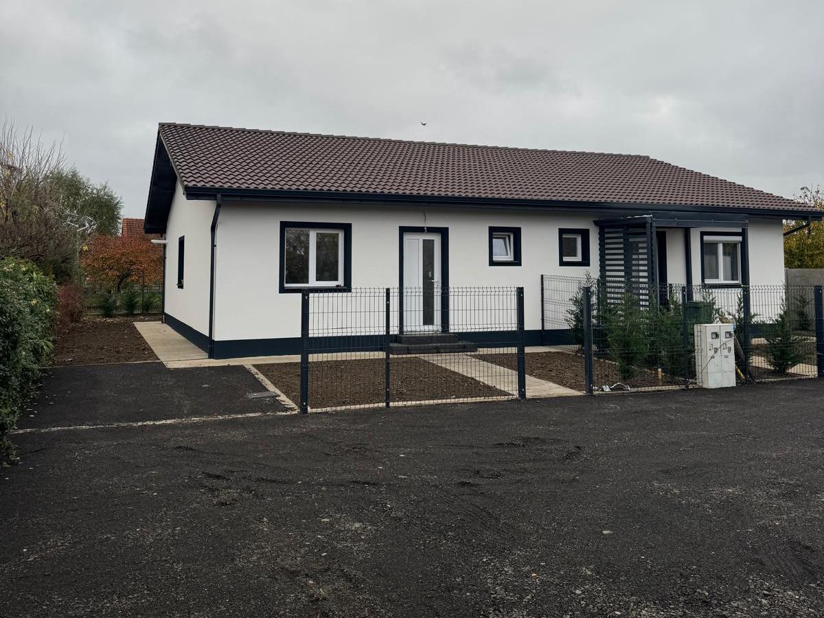 imobiliare timisoara