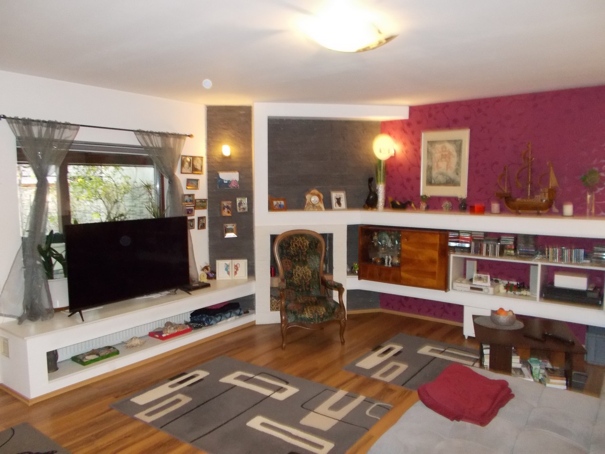 imobiliare timisoara
