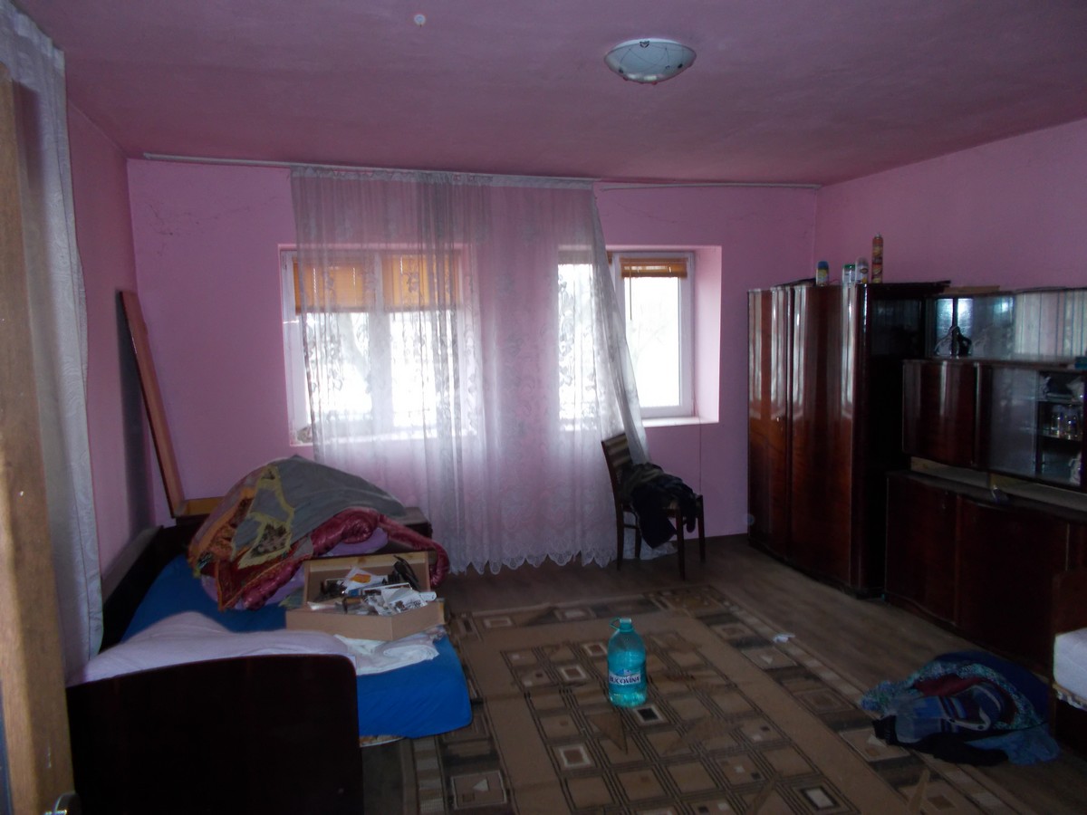 imobiliare timisoara