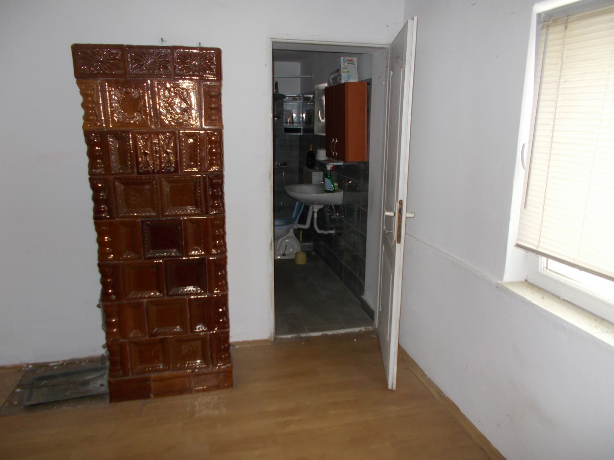 imobiliare timisoara