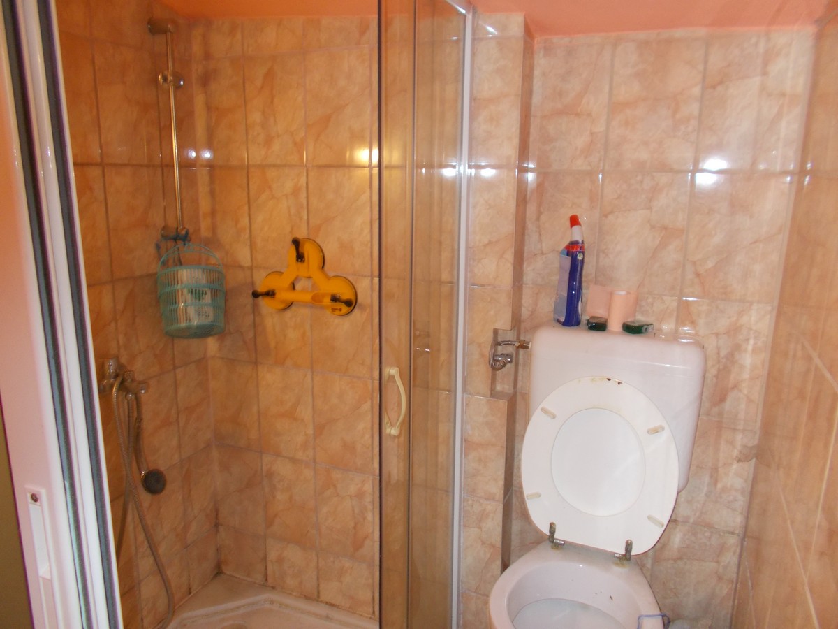 imobiliare timisoara
