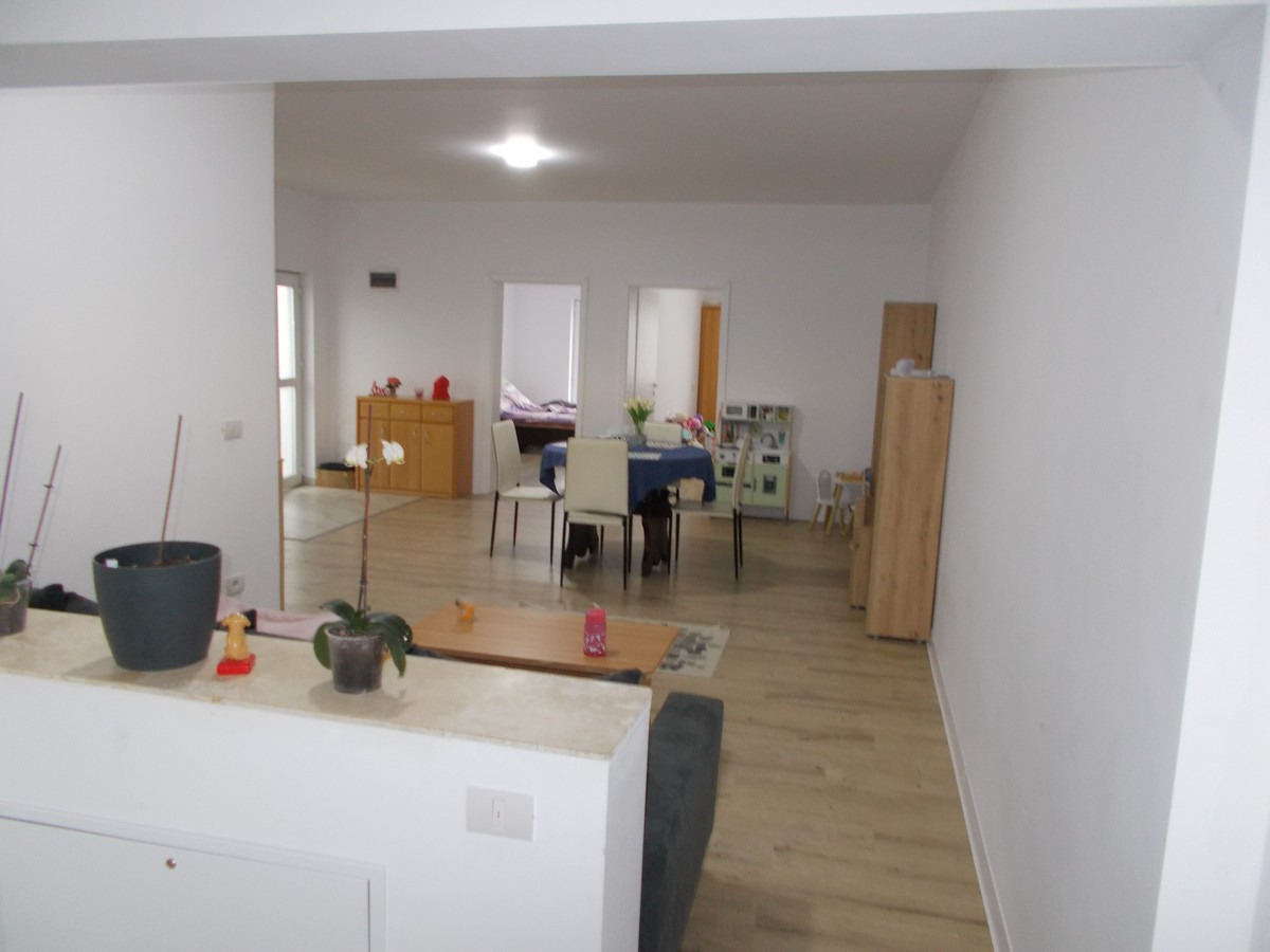 imobiliare timisoara
