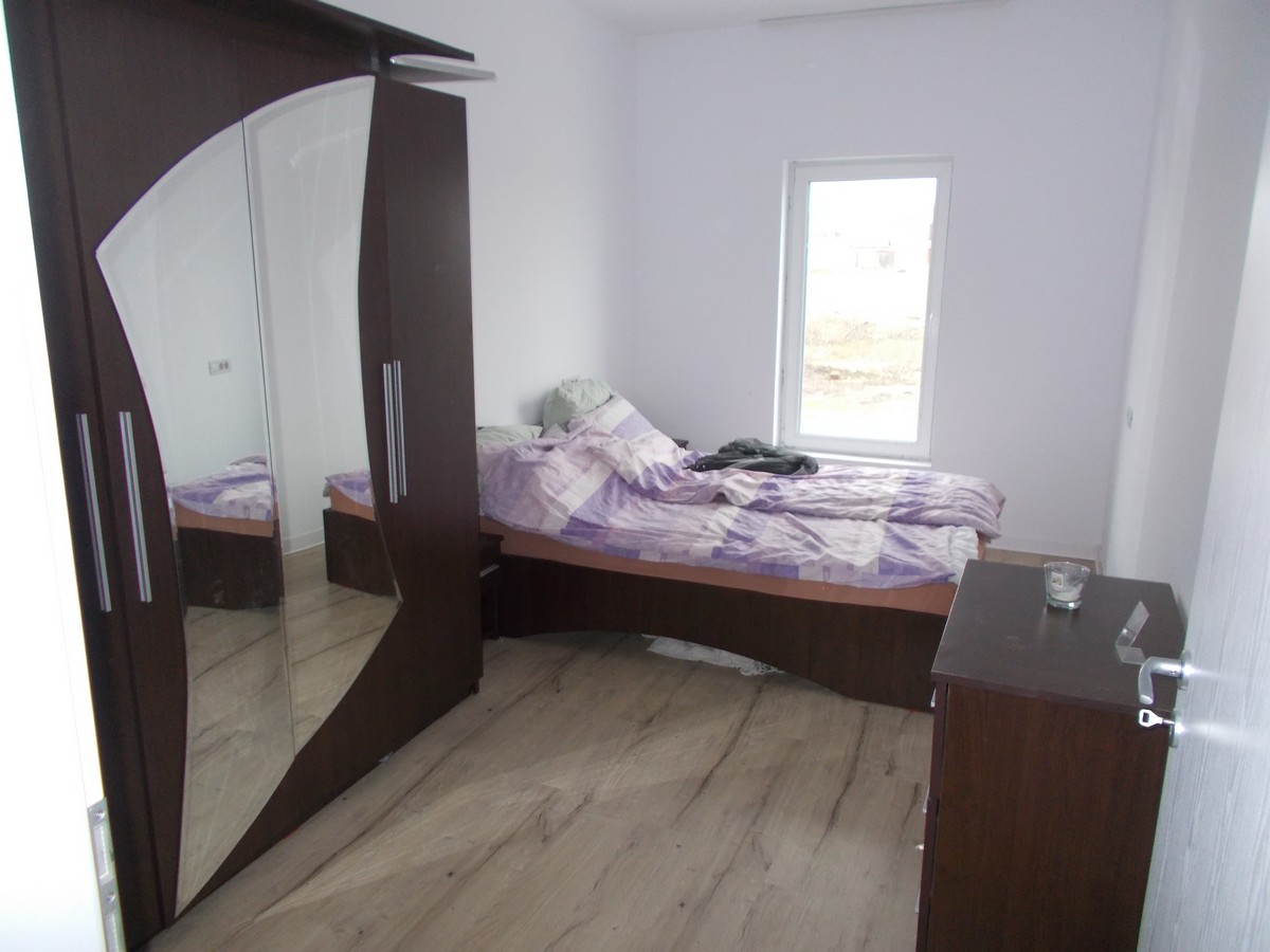 imobiliare timisoara
