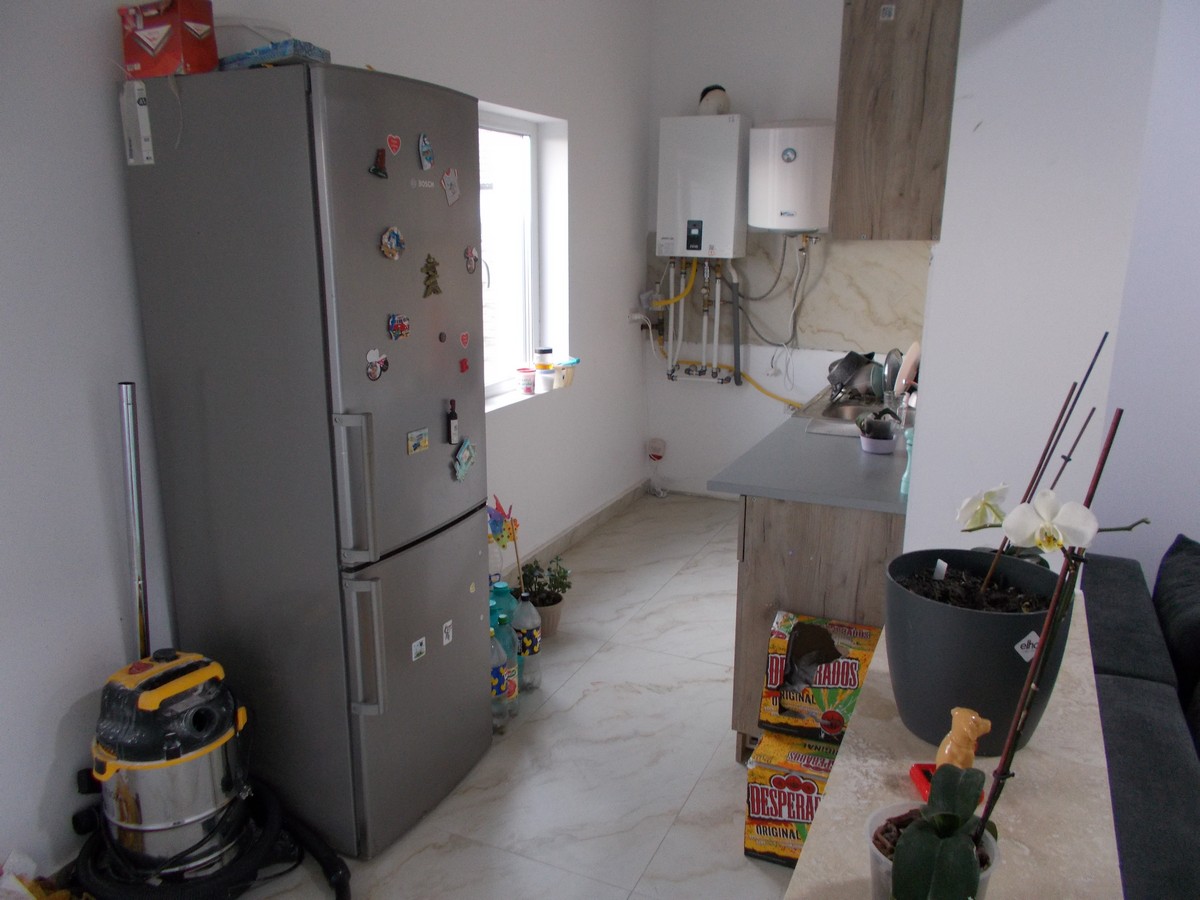 imobiliare timisoara