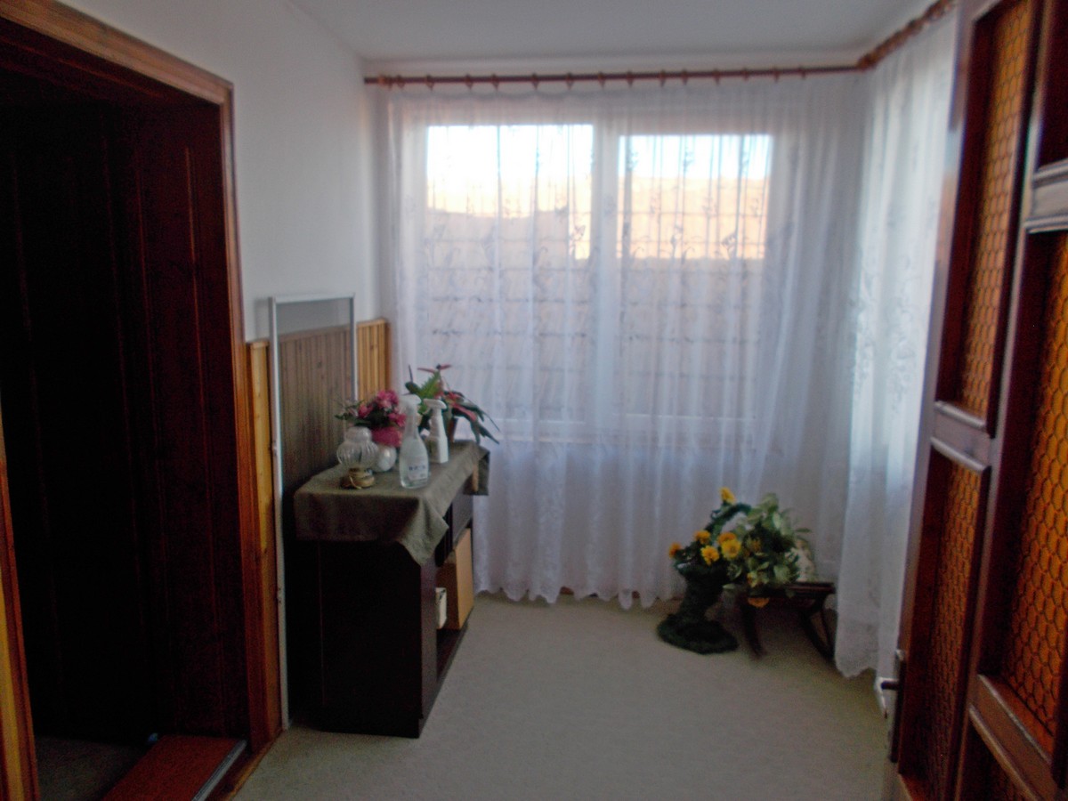 imobiliare timisoara