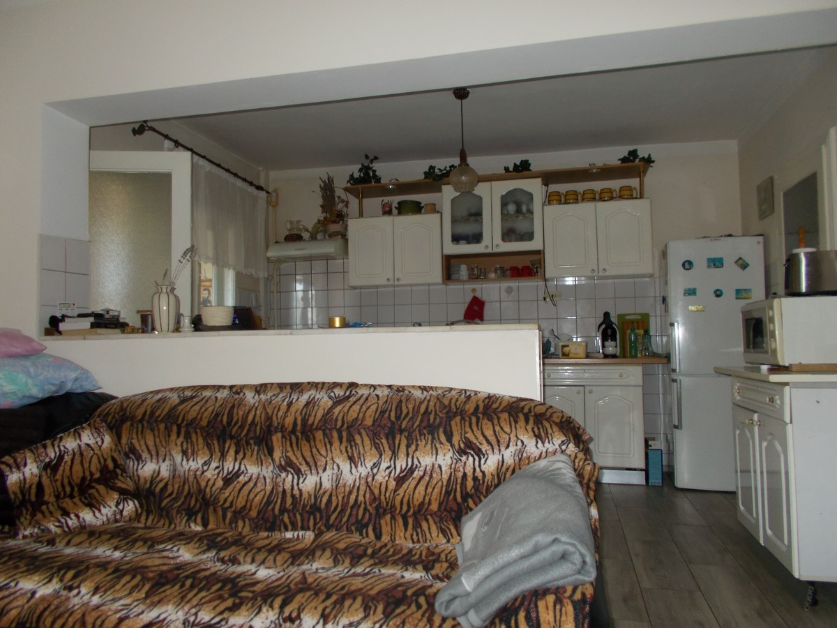 imobiliare timisoara