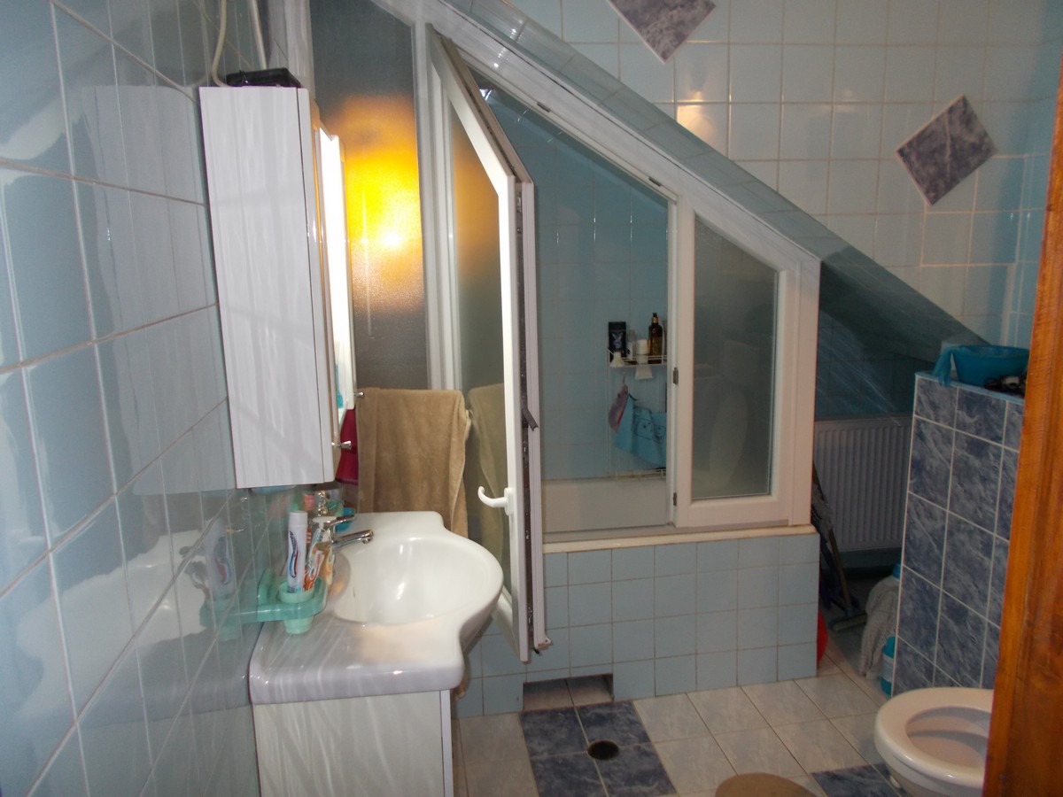 imobiliare timisoara