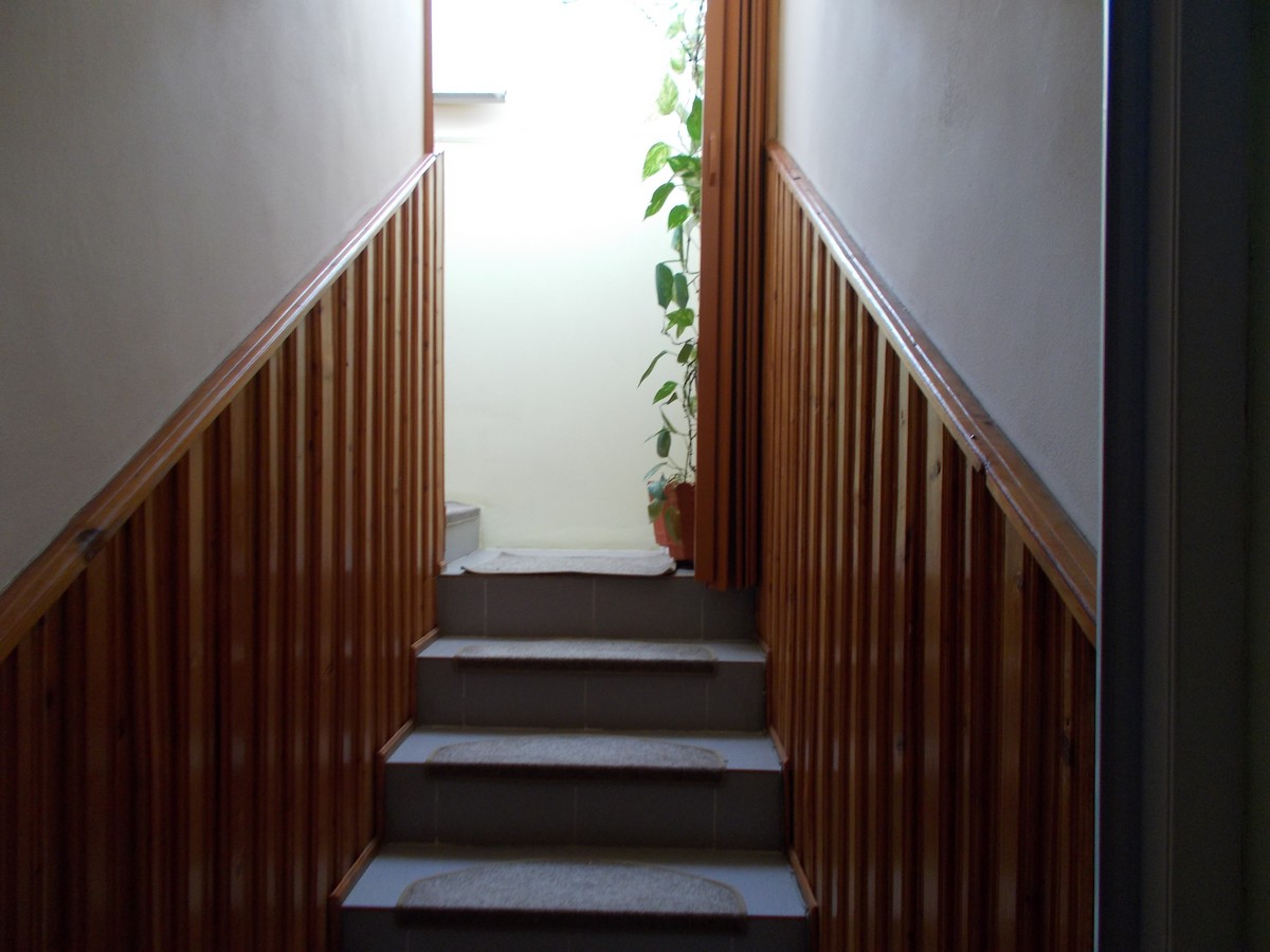 imobiliare timisoara