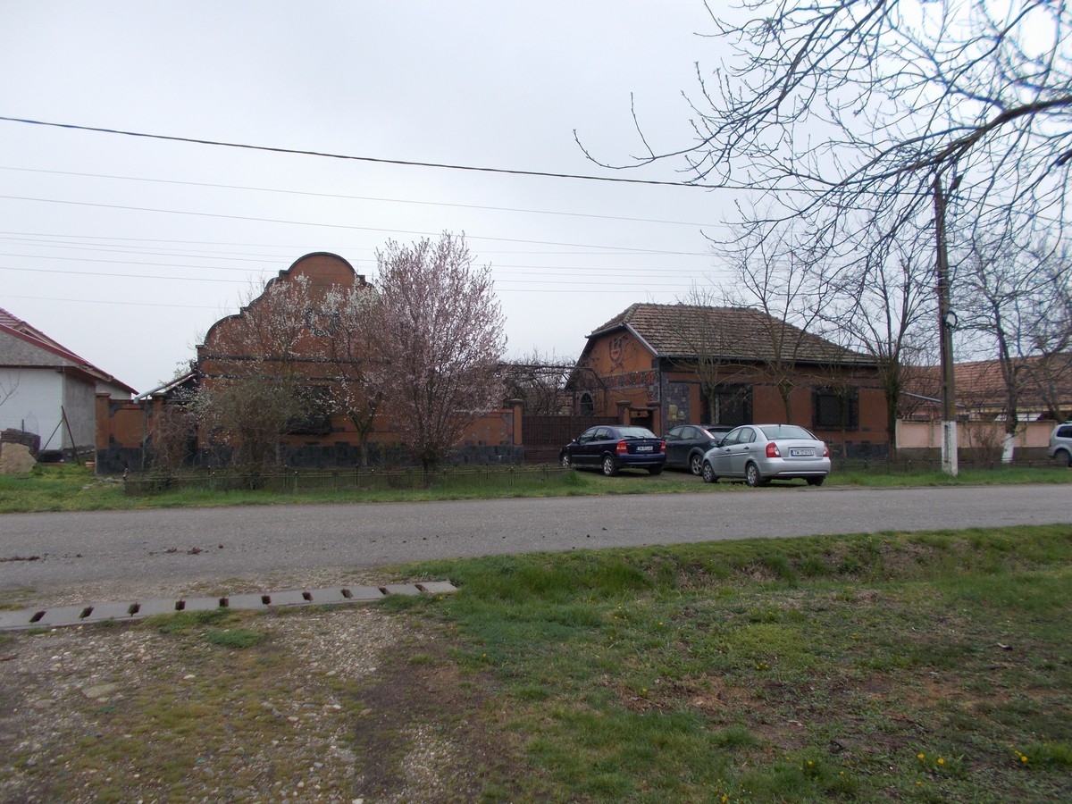 imobiliare timisoara