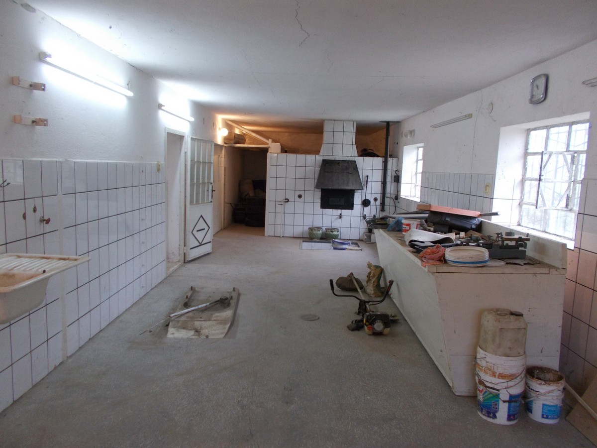 imobiliare timisoara