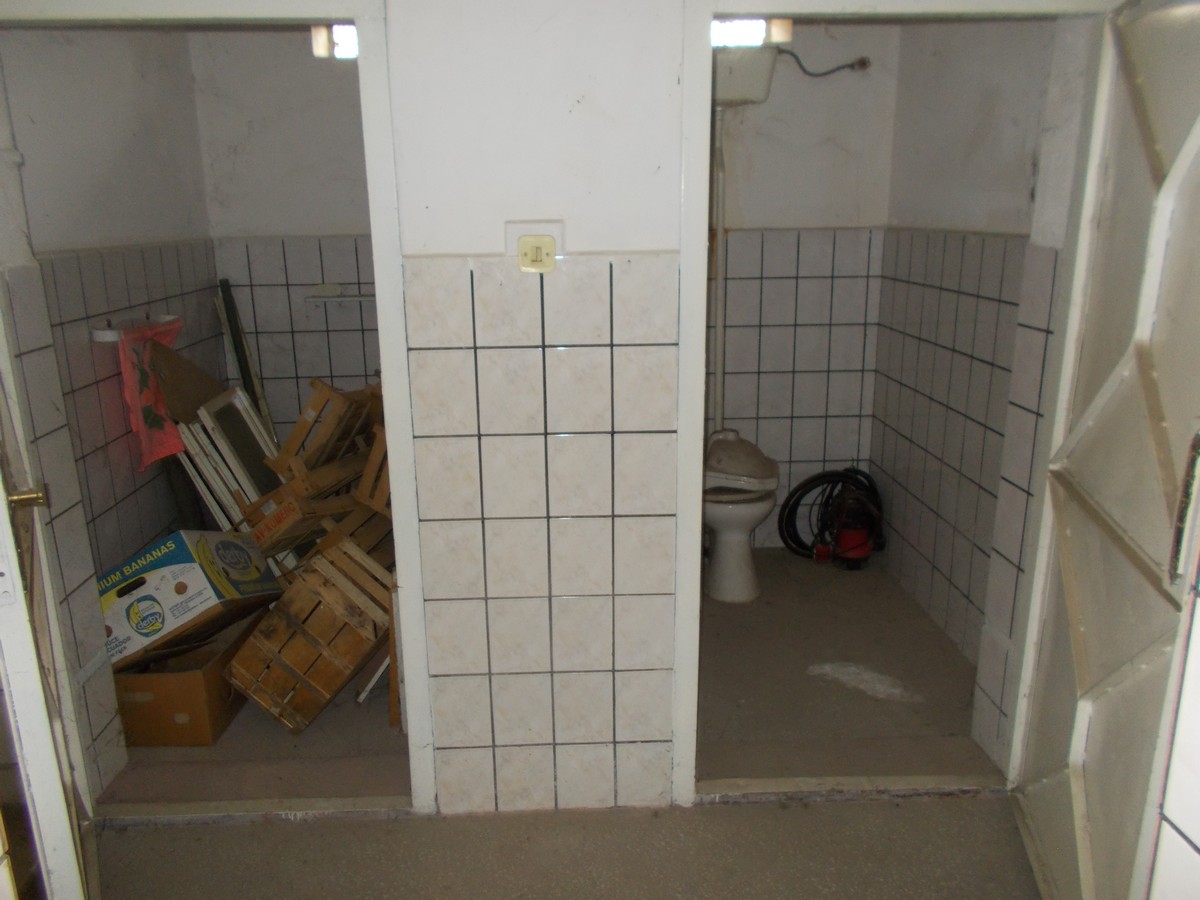 imobiliare timisoara