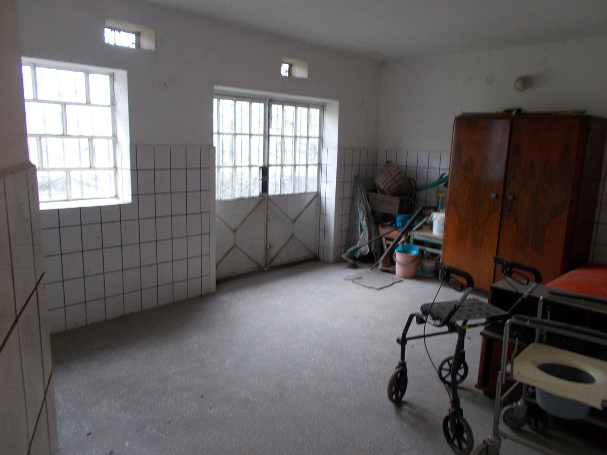 imobiliare timisoara