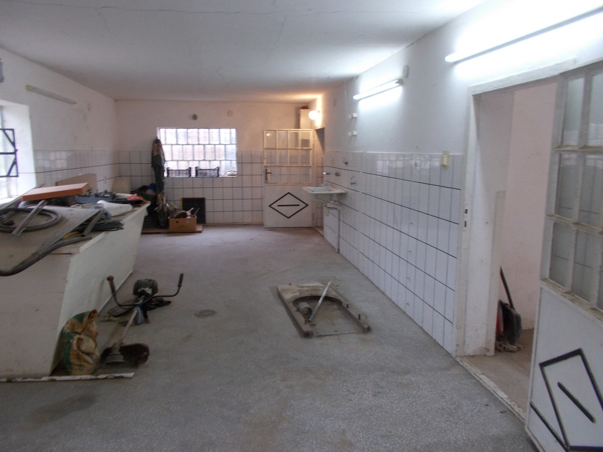 imobiliare timisoara