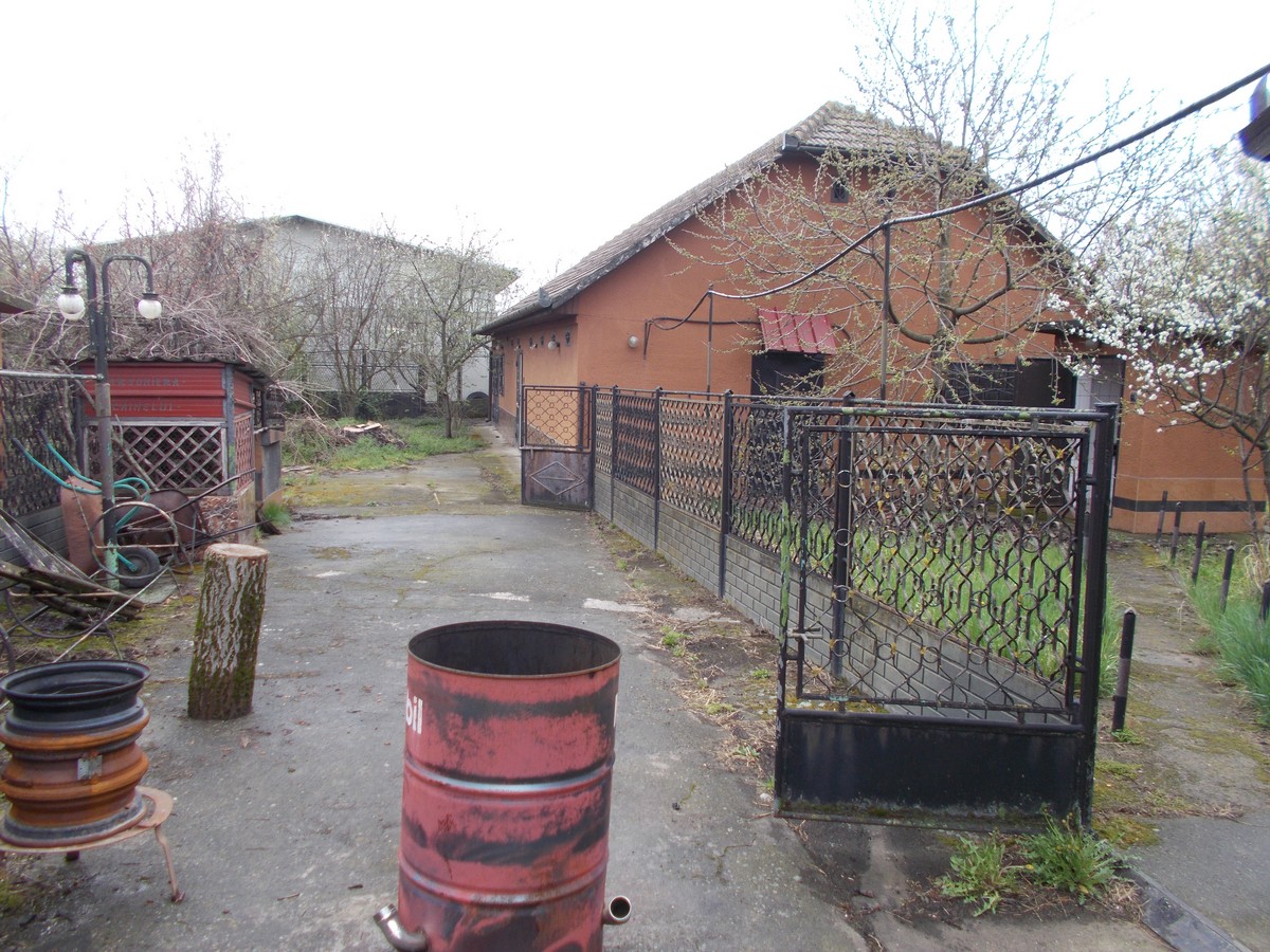 imobiliare timisoara