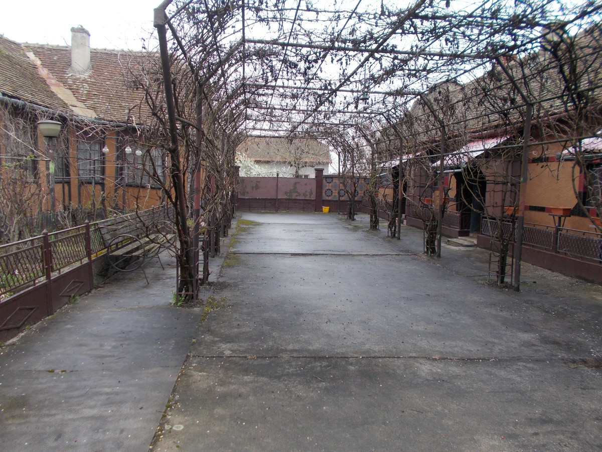 imobiliare timisoara