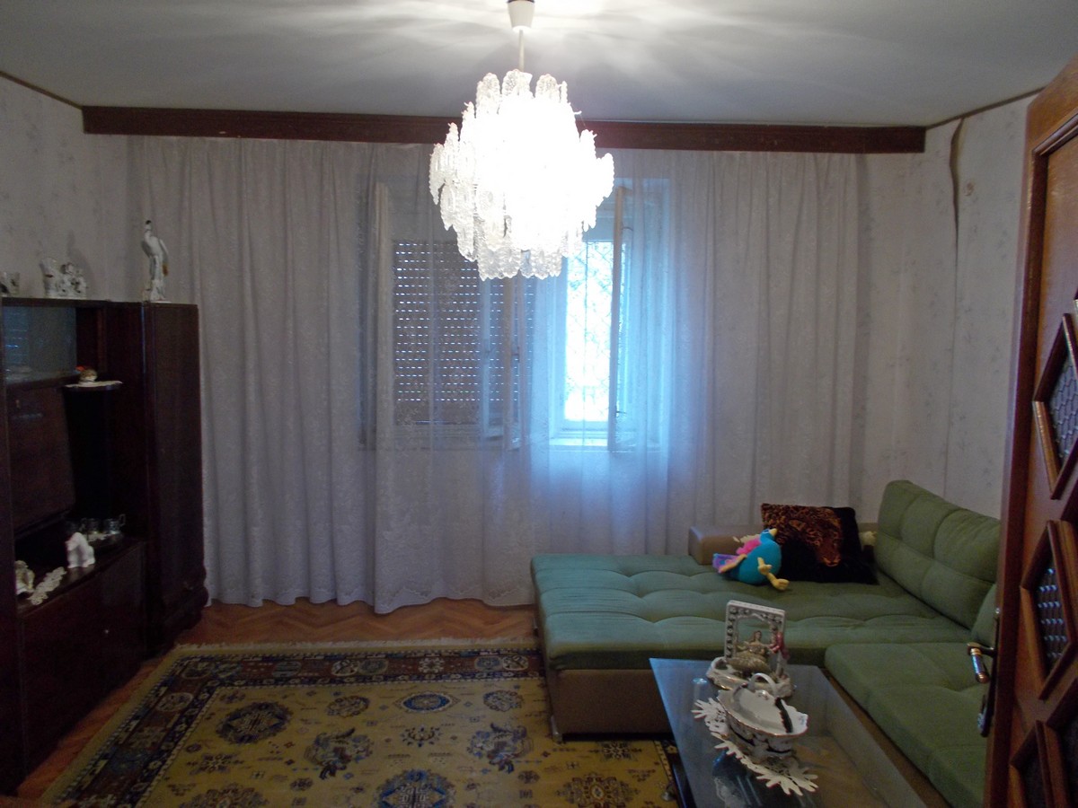 imobiliare timisoara