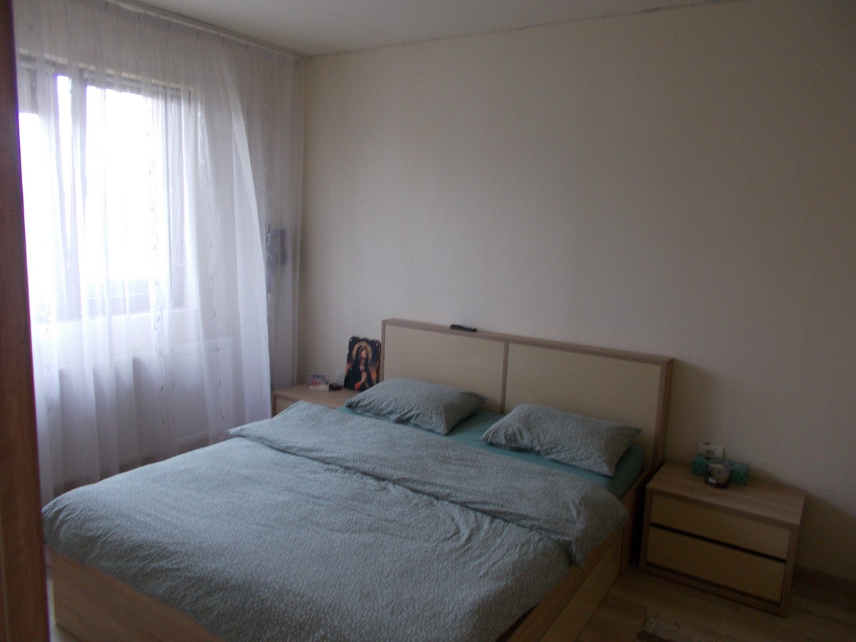 imobiliare timisoara