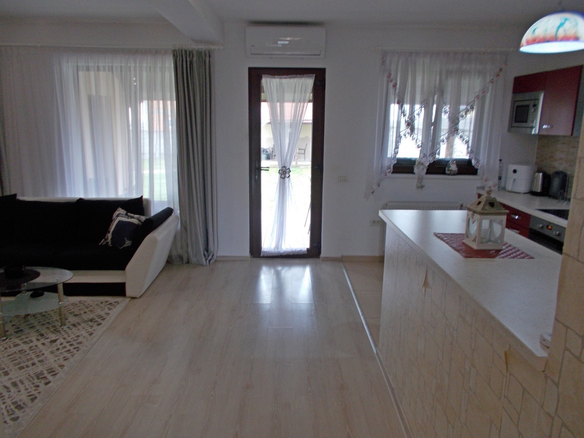 imobiliare timisoara