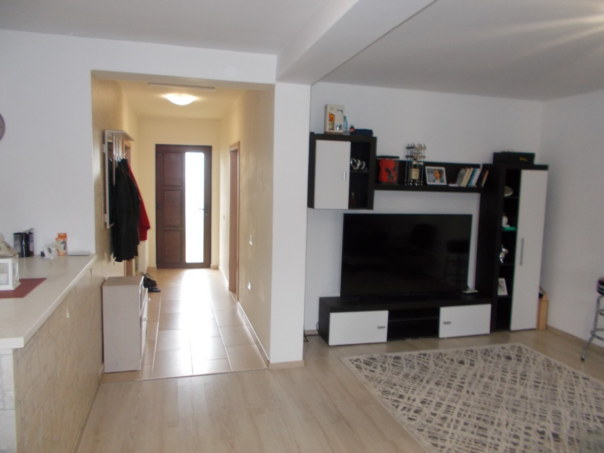 imobiliare timisoara