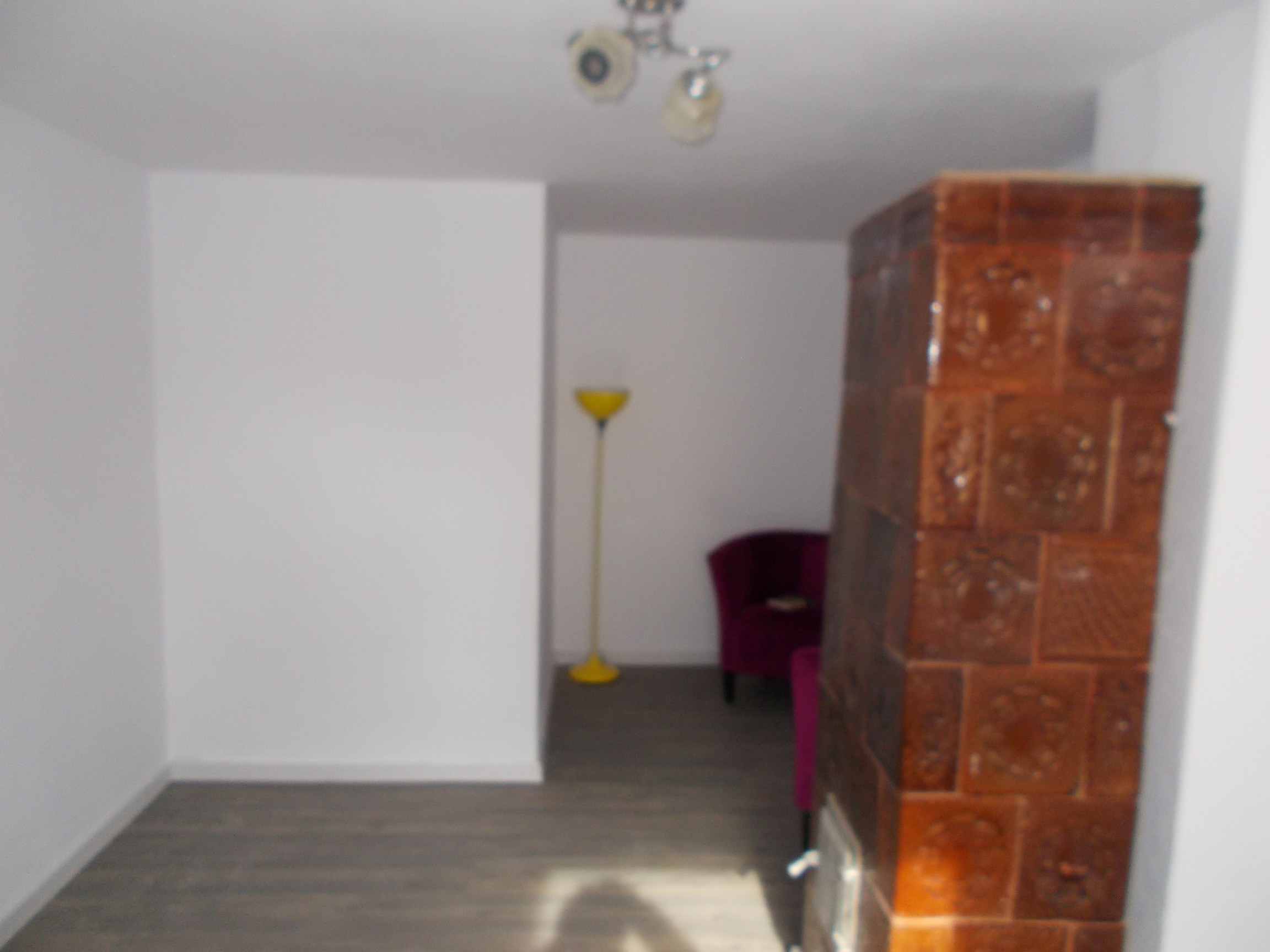 imobiliare timisoara