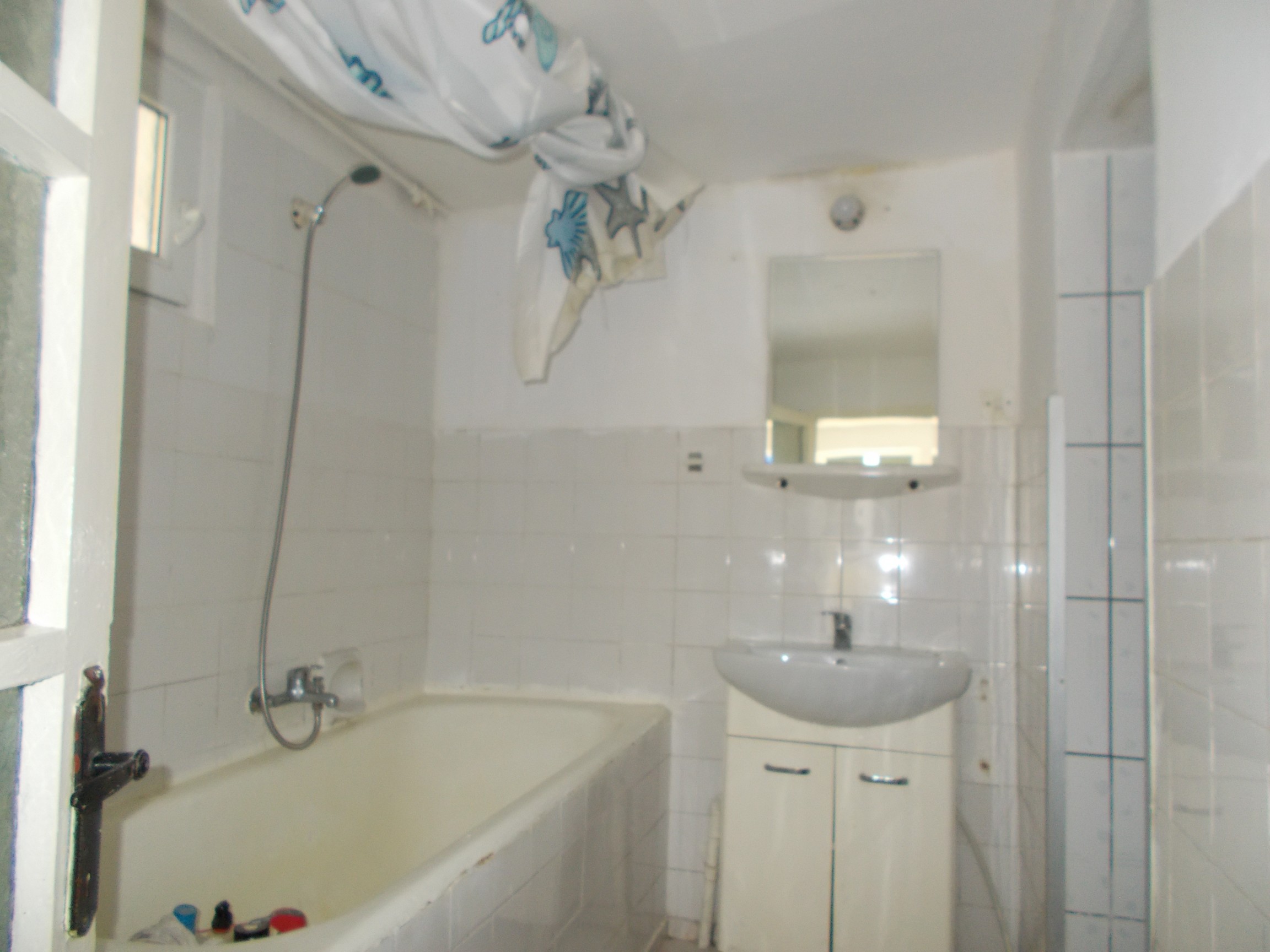 imobiliare timisoara