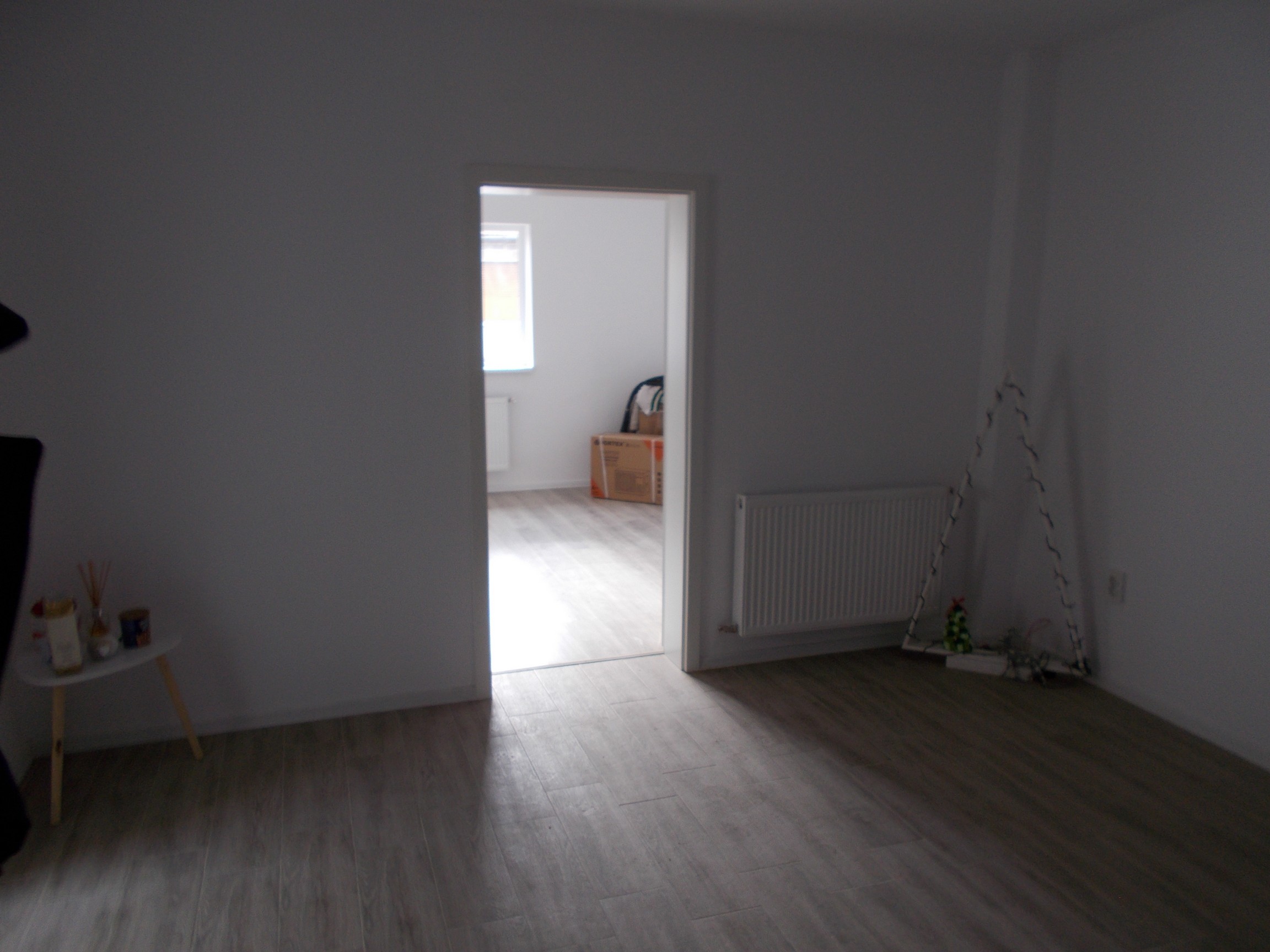 imobiliare timisoara